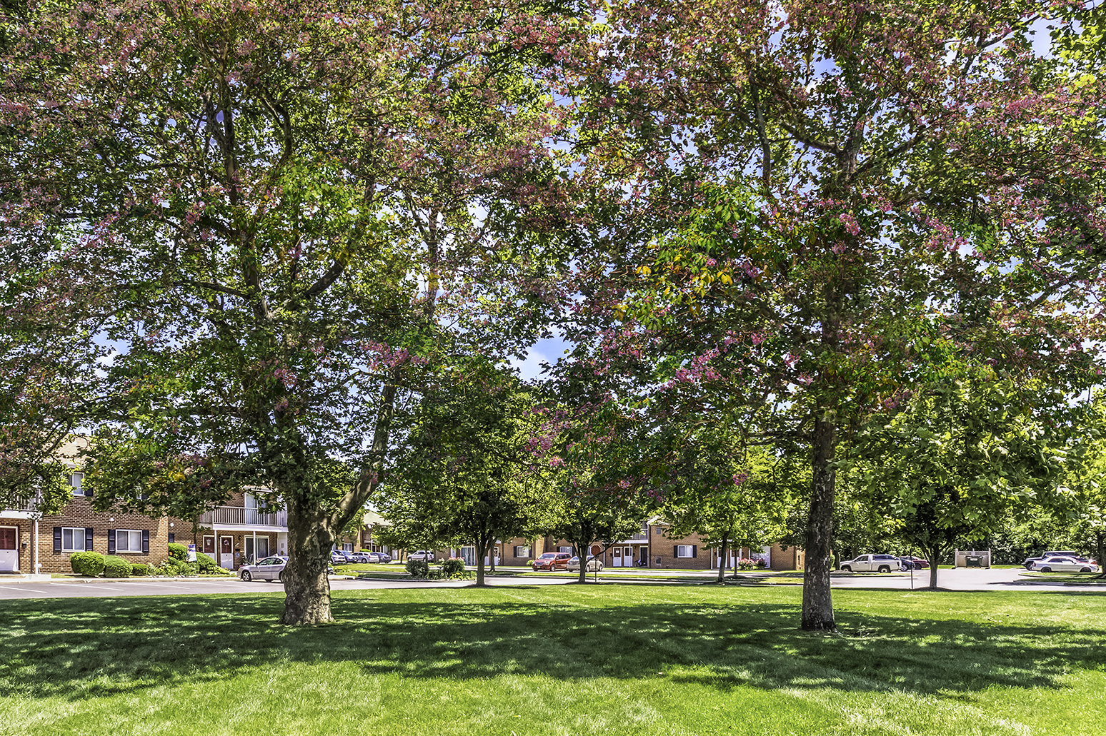 Apartment Green Space